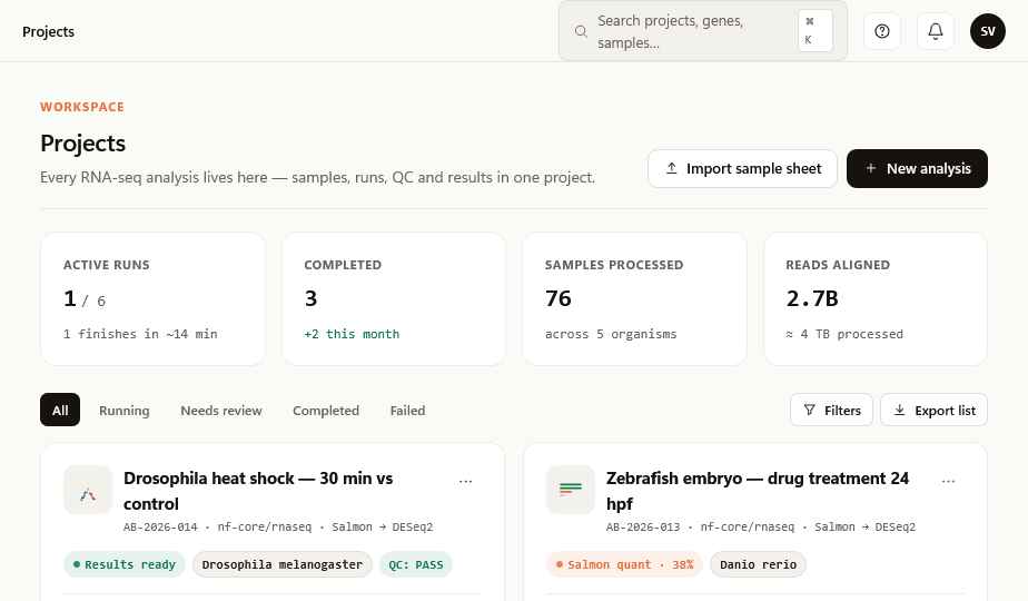 Projects view with stat cards and project list